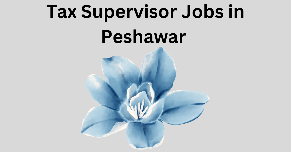 Tax Supervisor Jobs